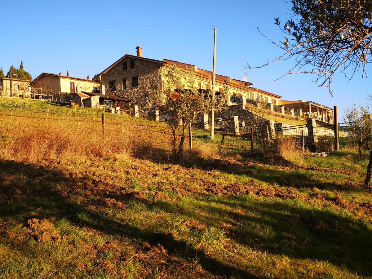 Agriturismo Olimpo Villa Santa Maria  Extérieur photo