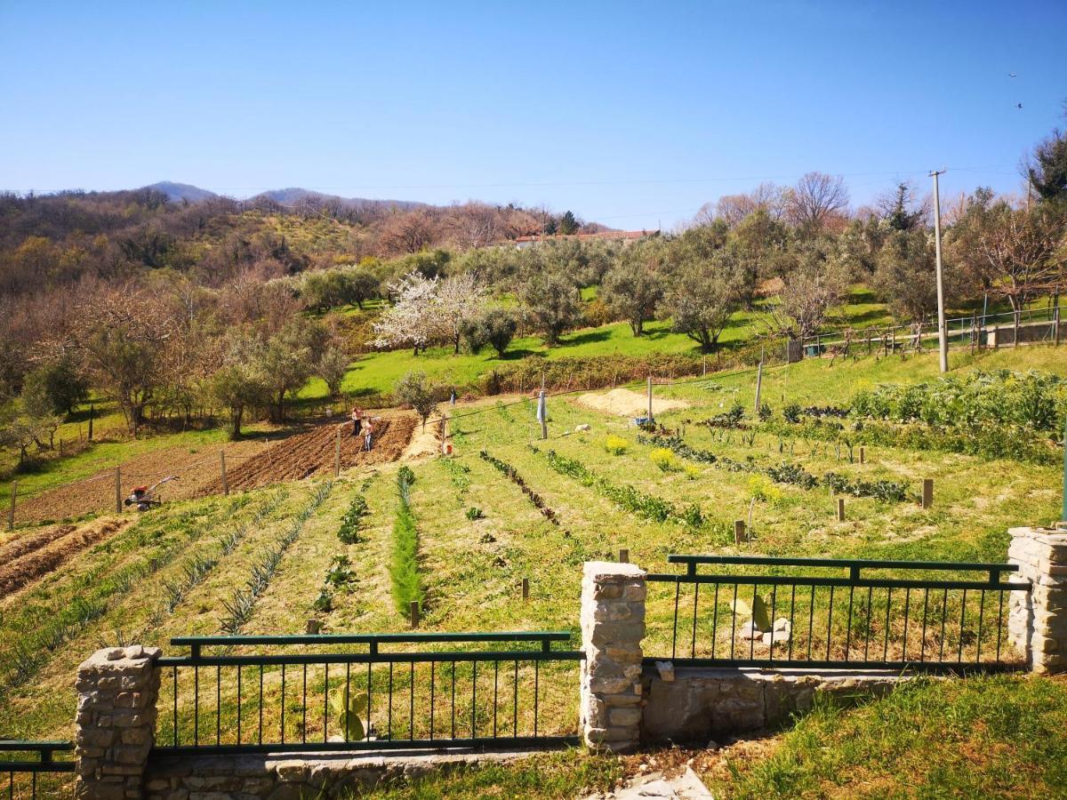 Agriturismo Olimpo Villa Santa Maria  Extérieur photo