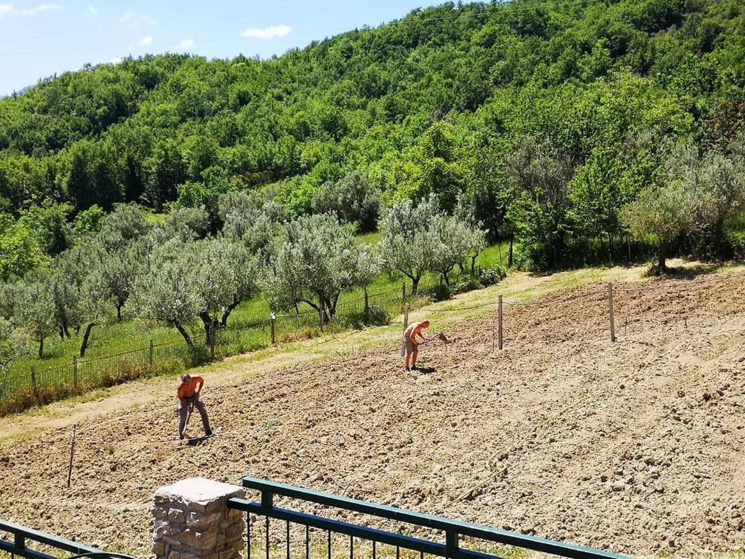 Agriturismo Olimpo Villa Santa Maria  Extérieur photo