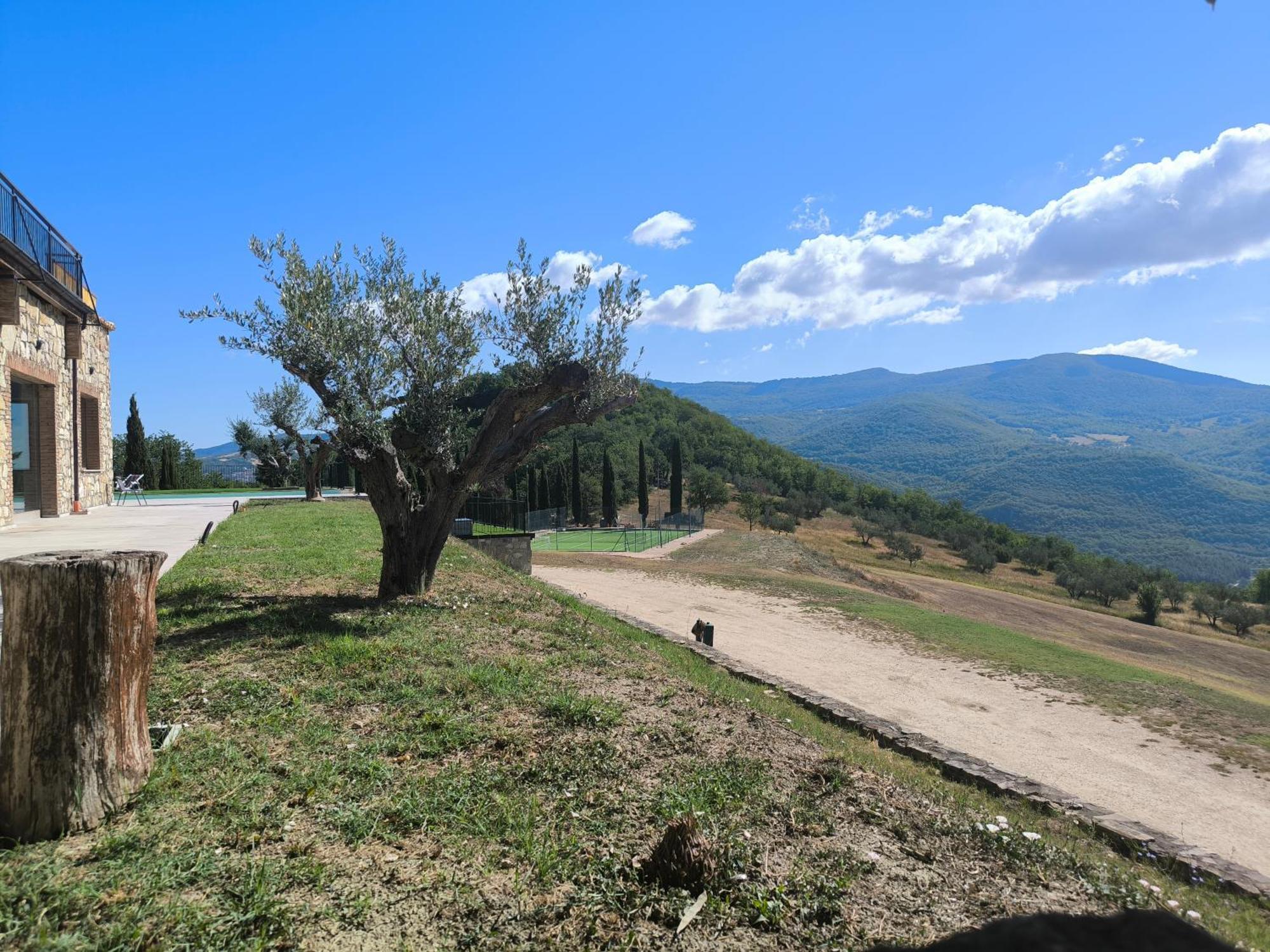 Agriturismo Olimpo Villa Santa Maria  Extérieur photo